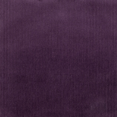 HFW159437